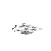 aquatic-barnacles-acorn
