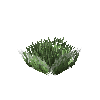 aquatic-decor-fringe-green