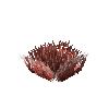 aquatic-decor-fringe-red