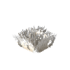 aquatic-decor-fringe-white