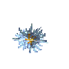 aquatic-lilyflower-giant-lightblue