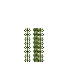 aquatic-milfoilnorthern-section