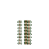 aquatic-milfoilspiked-section