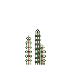 aquatic-milfoilspiked-top