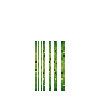 aquatic-seagrass-green-section