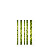 aquatic-seagrass-yellow-section