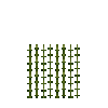 aquatic-watercrowfoot-section