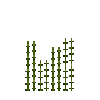 aquatic-watercrowfoot-tip