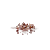 aquatic-worms-osedax
