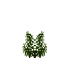 aquaticplant-milfoilfeather