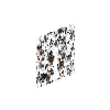 attachingplant-deadfungi