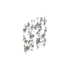 attachingplant-lichen