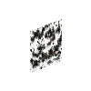 attachingplant-spottymold