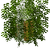 bamboo-placed-brown-segment3