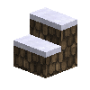 clayshinglestairs-brown-up-east-snow