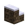 clayshinglestairs-brown-up-west-snow