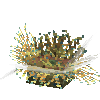 coral-anemone-mix1