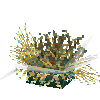coral-anemone-mix3