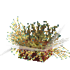 coral-anemone-mix4