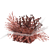 coral-anemone-red