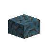 coral-brain-blue-2