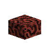 coral-brain-red-3