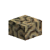 coral-brain-tan-2