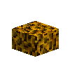 coral-brain-yellow-1