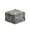 coral-brain