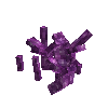 coral-branched-purple-2