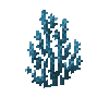 coral-fan-blue-2