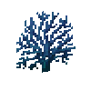 coral-fan-blue-3
