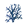 coral-fan-blue-4
