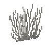 coral-fan-dead-1