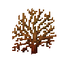 coral-fan-orange-3