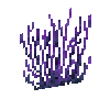 coral-fan-purple-1