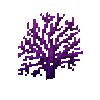 coral-fan-purple-3