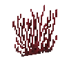 coral-fan-red-1