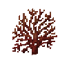 coral-fan-red-3