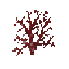 coral-fan-red-4