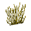 coral-fan-yellow-1