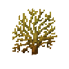 coral-fan-yellow-3