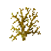 coral-fan-yellow-4