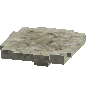 coral-shelf-short-dead-1
