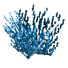 coral-shrub-blue-1