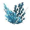 coral-shrub-blue-2
