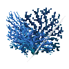 coral-shrub-blue-3
