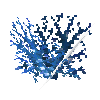 coral-shrub-blue-4