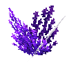 coral-shrub-purple-2