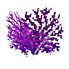 coral-shrub-purple-3